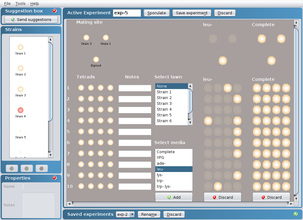 Tetrad Experiment tetrad analysis