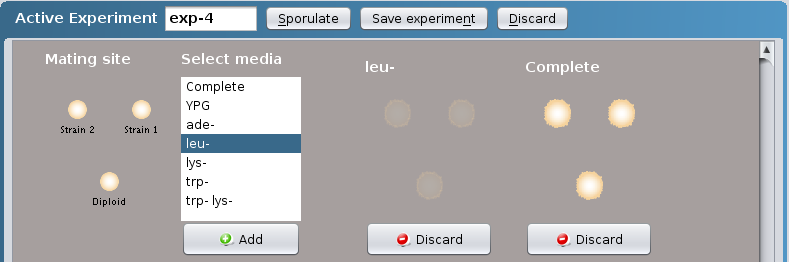 Tetrad Experiment complementation test Tetrad Experiment complementation test