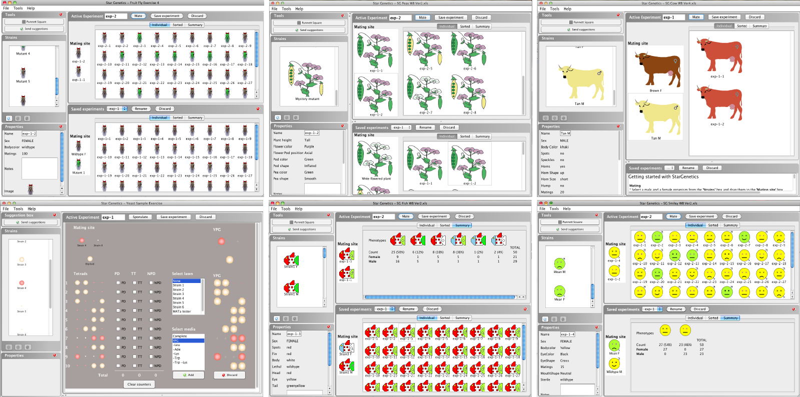 Current StarGenetics Visualizers which includes Fly, Yeast, Mendel's Peas, Cows, Fish and Smiley Face