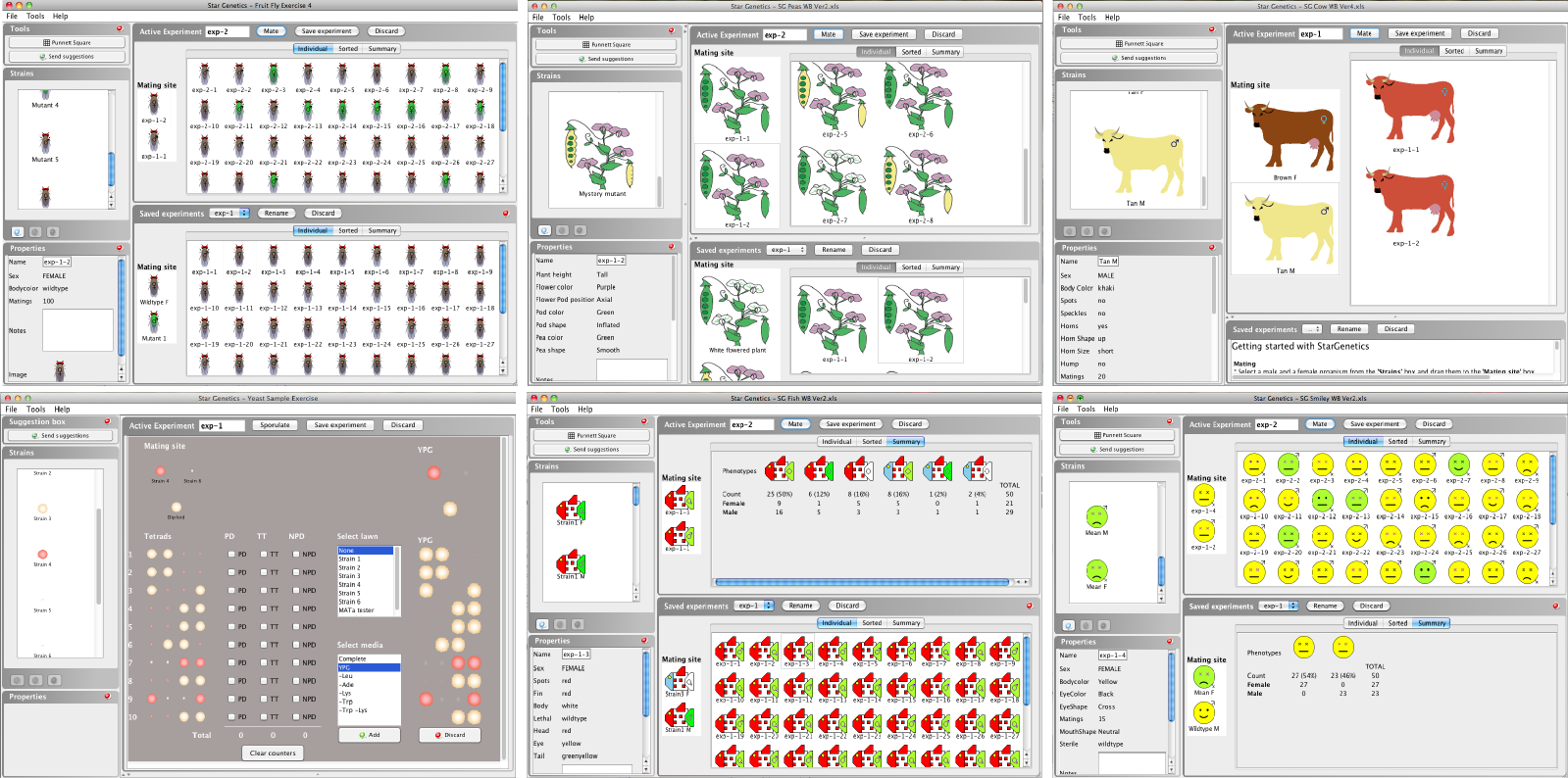 Download Free Drosophila Genetics Lab Program Software