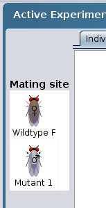 Mating site