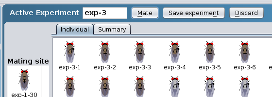 Save experiment button