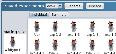 Saved experiments area