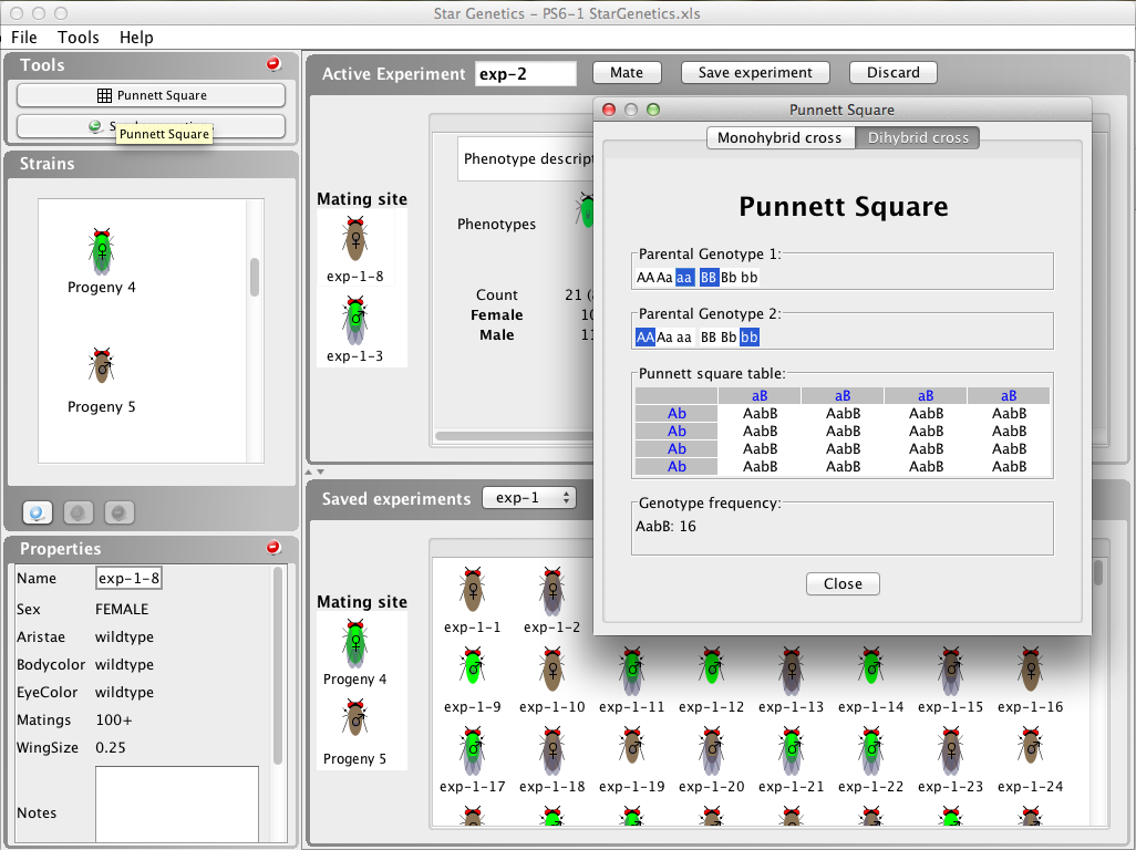 StarGenetics Fly User Interface with the Punnett Square Tool